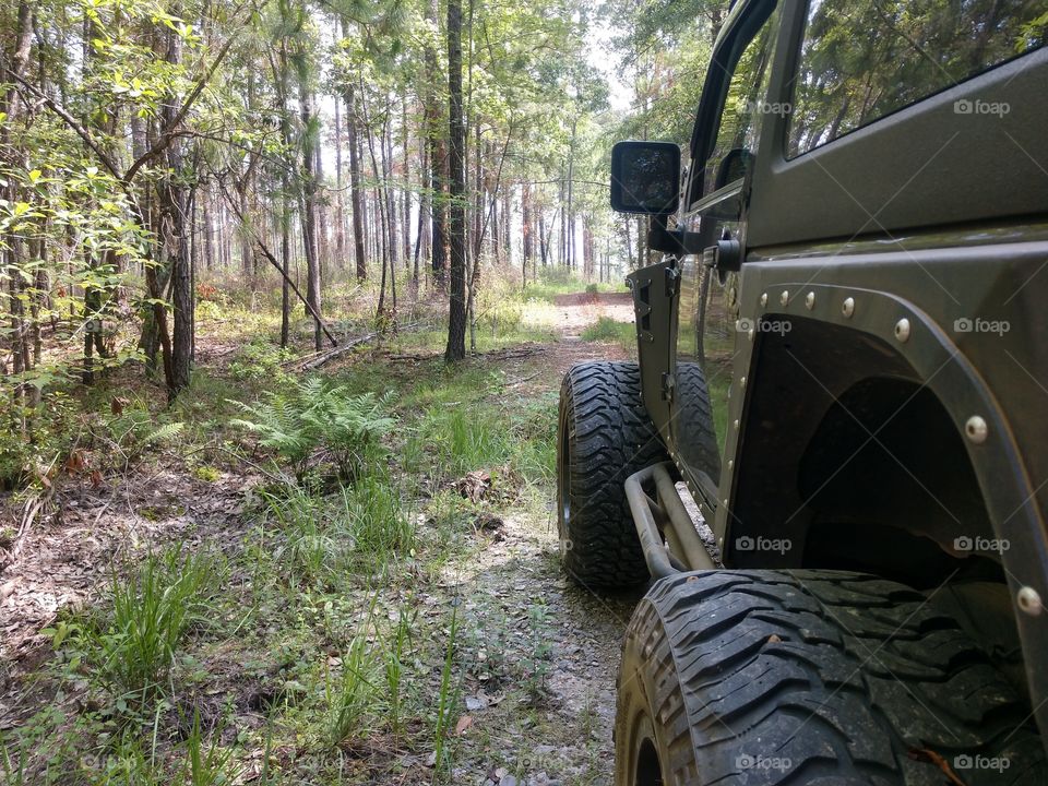 Jeep trail