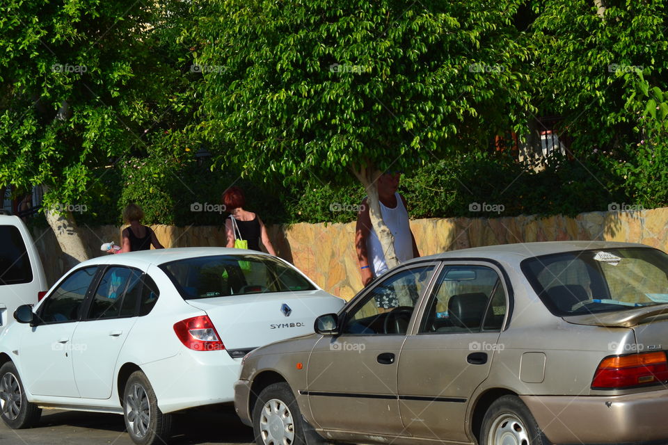 cars on the Street