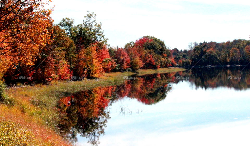 Fall in Nova Scotia