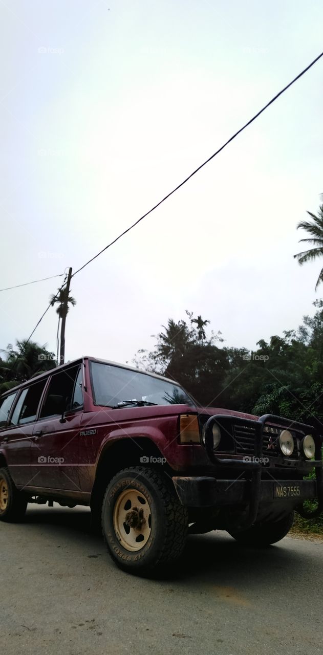A messy truck that faced a lot of adventure in forest