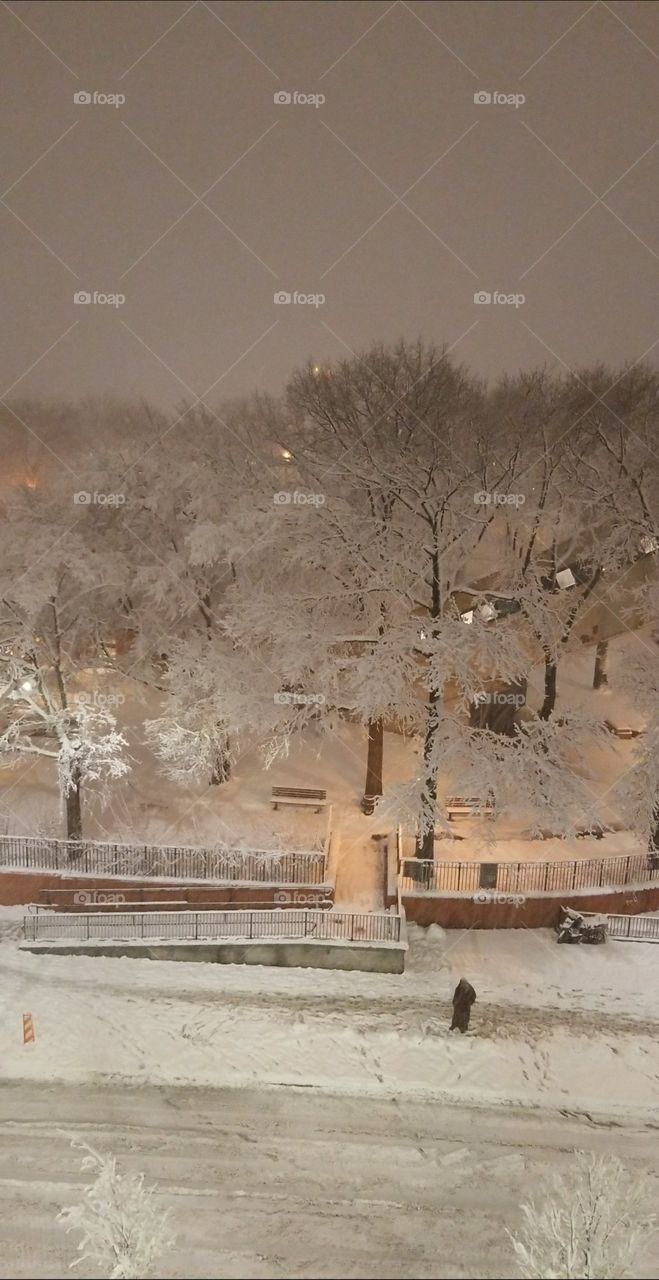 Snowy park, snow covered trees, snow covered street, a view from above