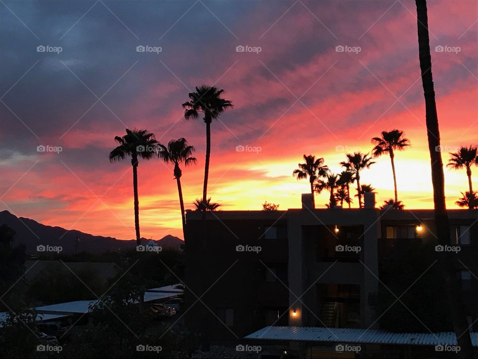 Tucson sunset 