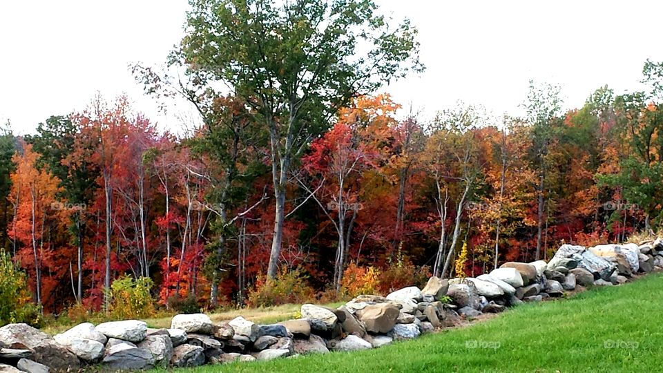 Autumn in Massachusetts