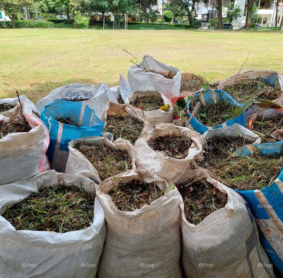 field grass that has been cut and collected in sacks