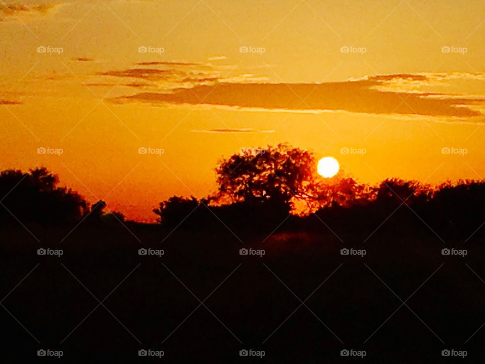 Texas sunset silhouette 