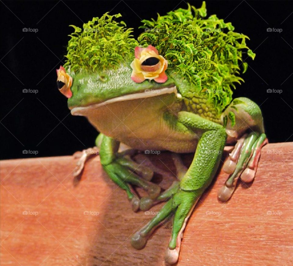 Quando un grafico si annoia