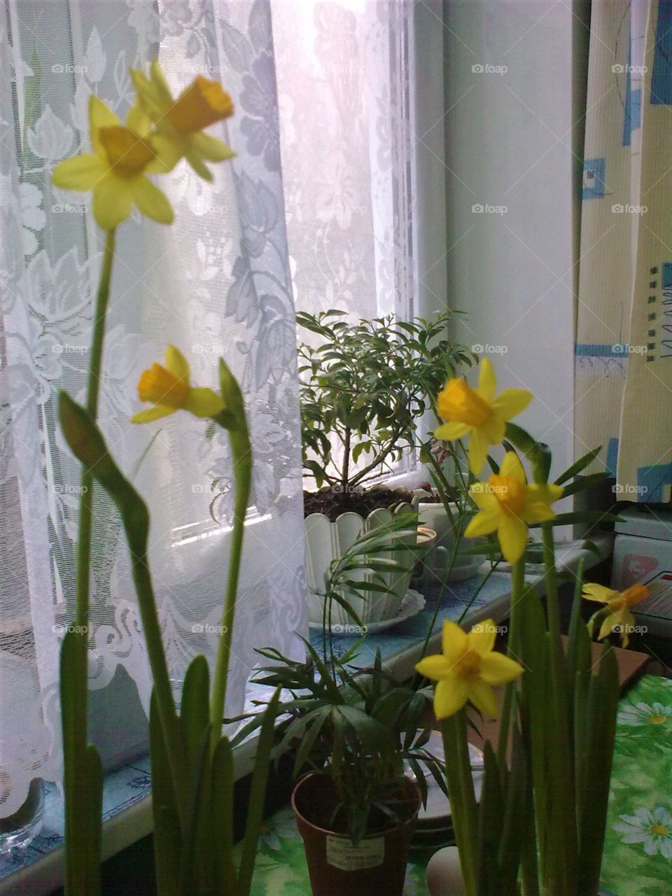 A calm moment while busy day.  Beauty is often very simple and it's close