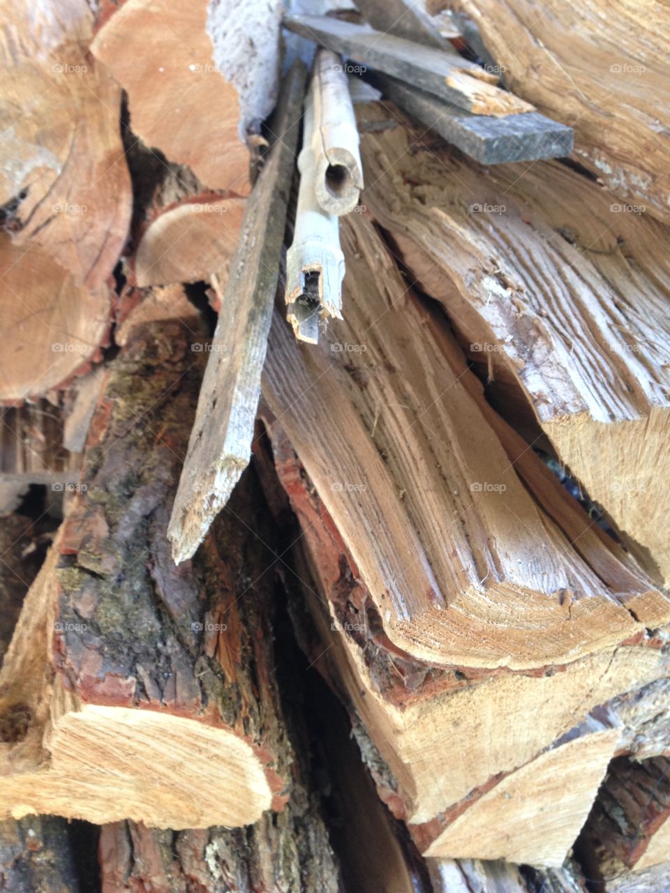Wood pile. 