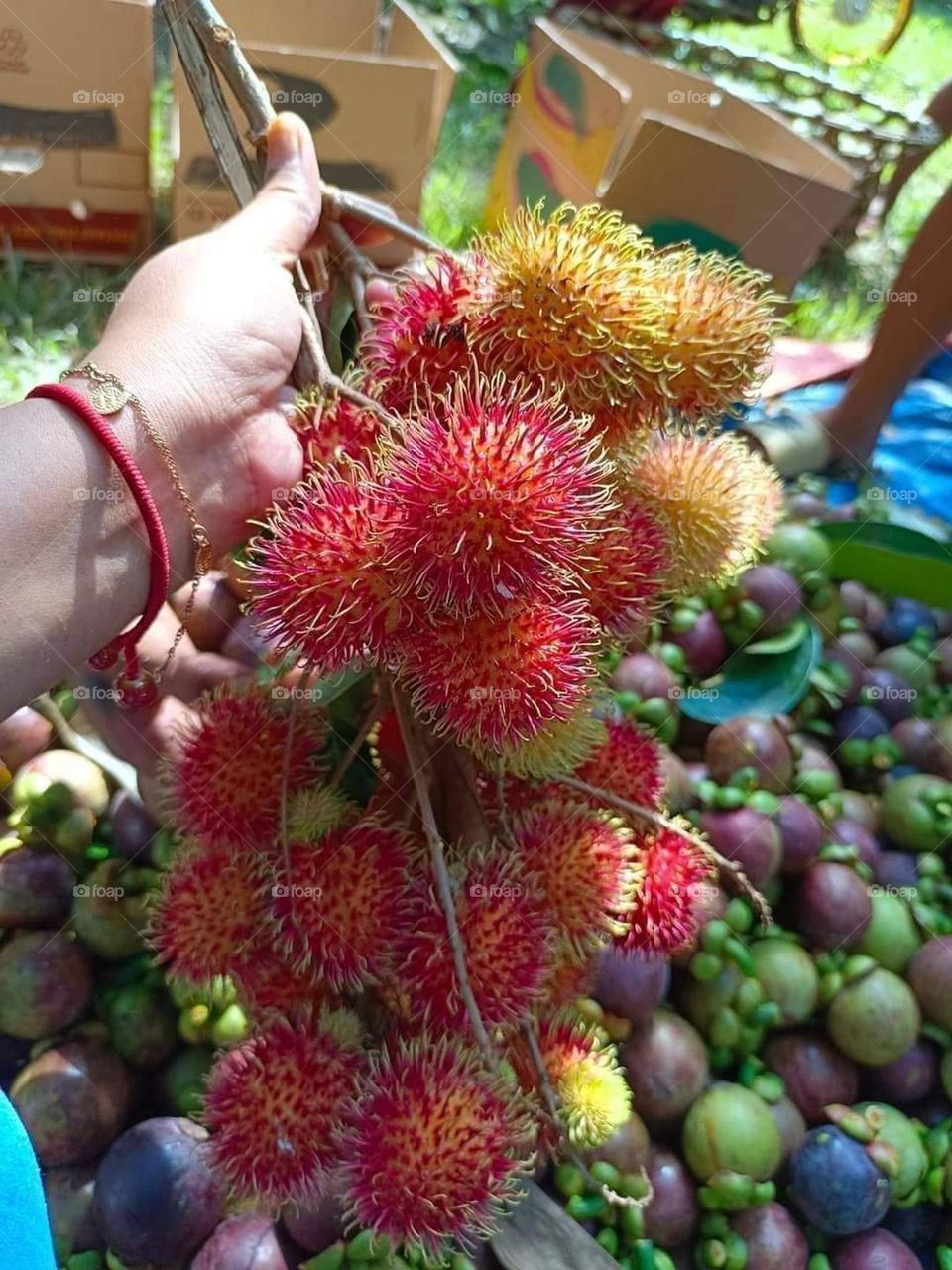 Rambutan, a fruit that is commonly seen in streets of the Philippines
