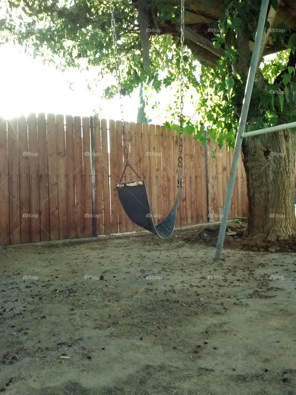 This Old Swing