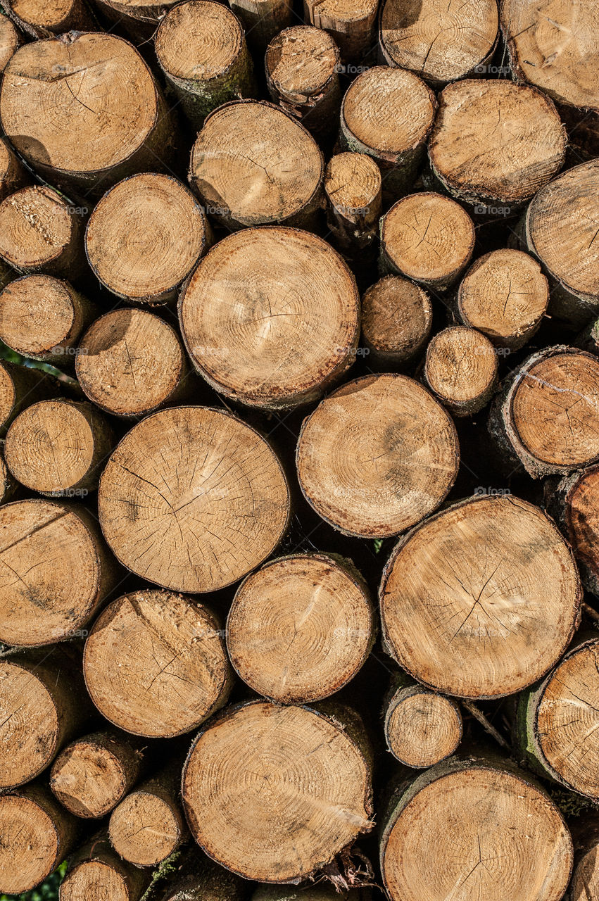 Stack of firewood