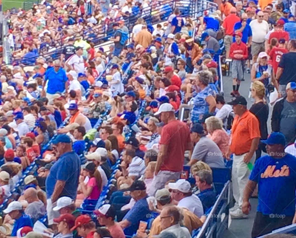 Fans at baseball game 