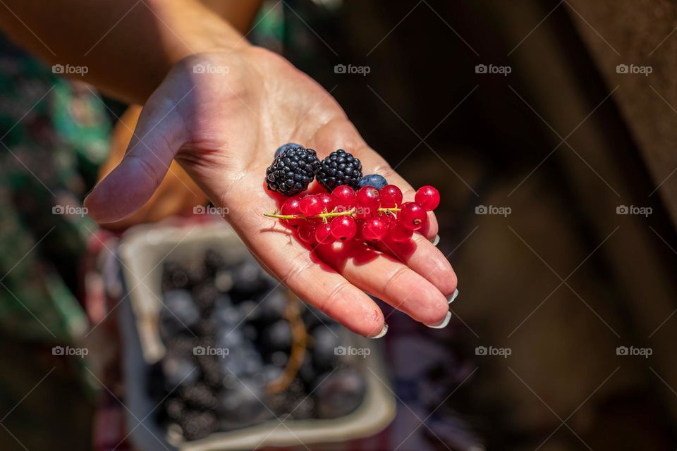 Summer fruit