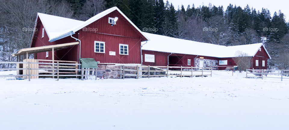 snow covered horse stable on the edge of the forest set in a Swedish countryside