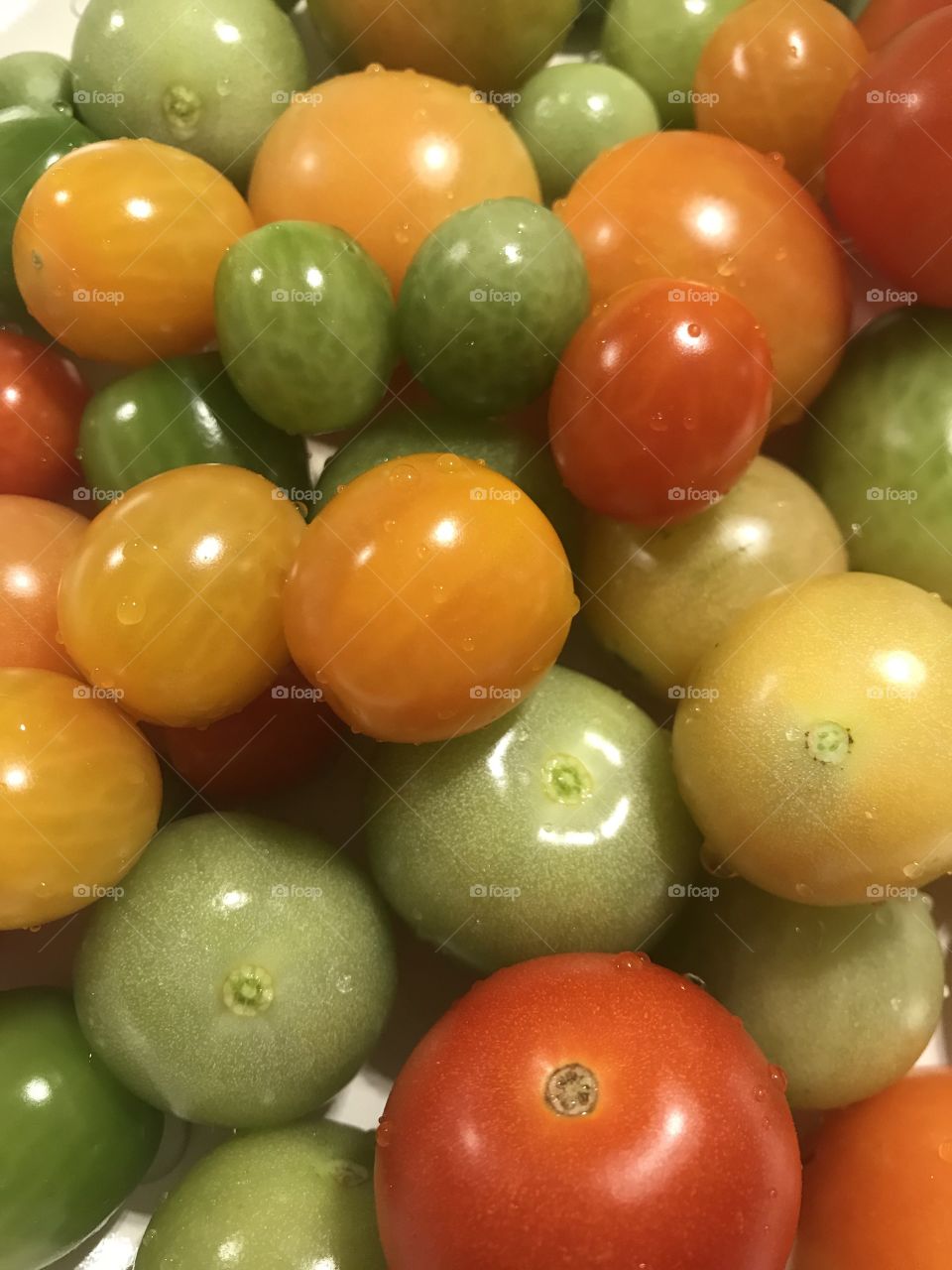 Colorful tomatoes 
