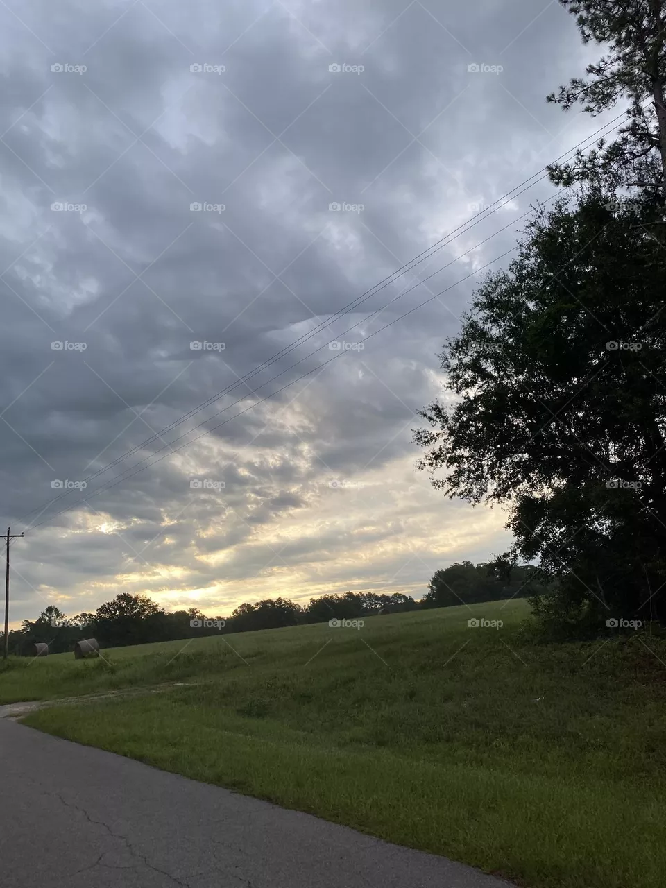 Beautiful day 