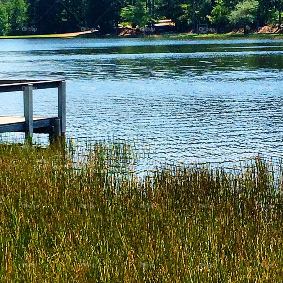 John Tanner State Park