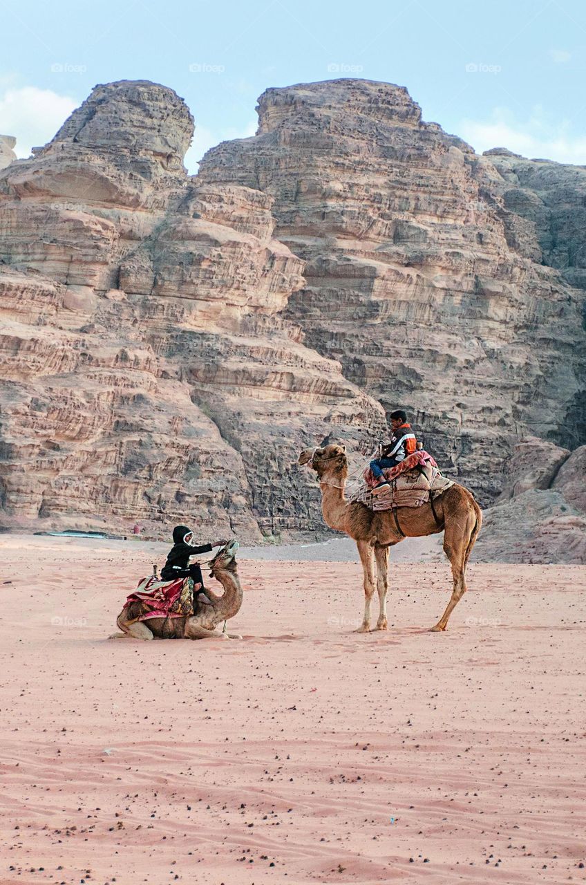 Meeting of two children on camels in Wadi Rum desert