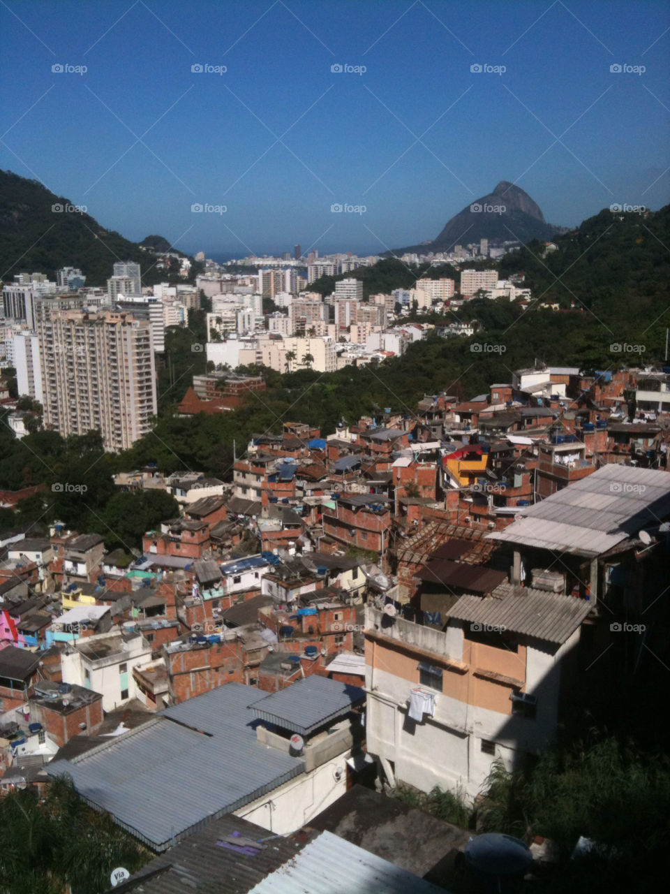 nature rio brazil favela by lebona