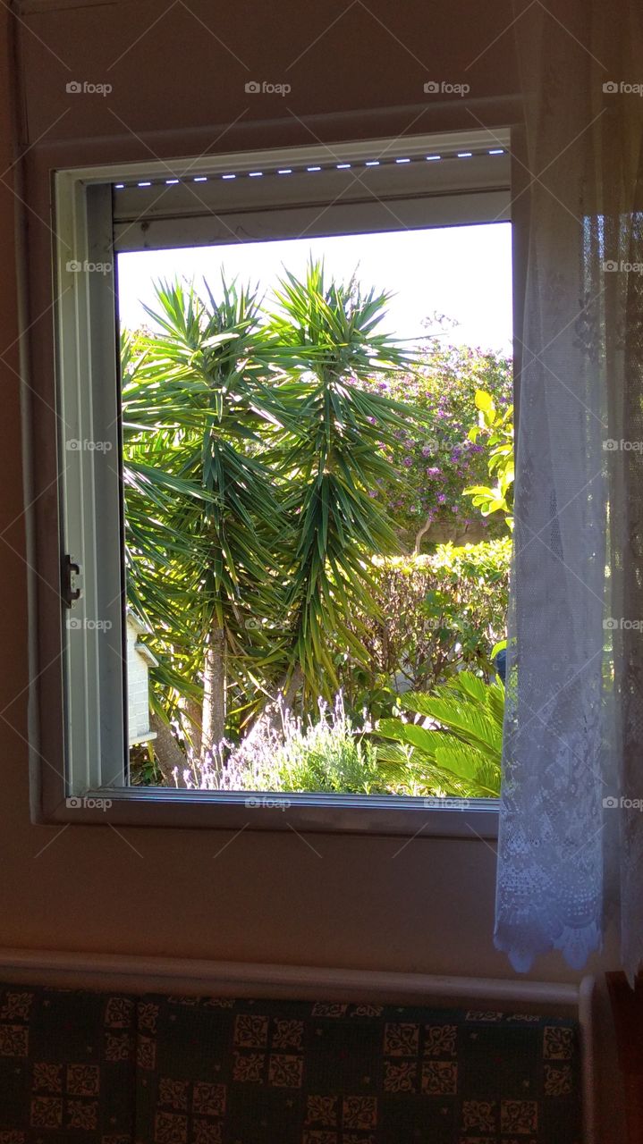 Window in the garden