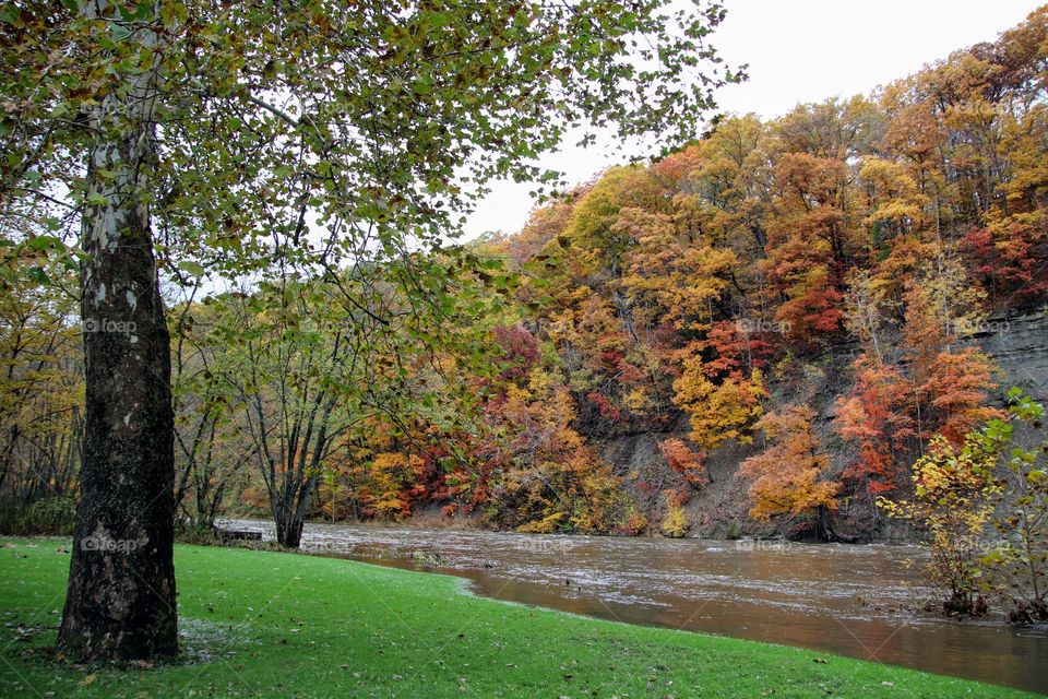 Fall colored trees on cliff in Ohio USA 