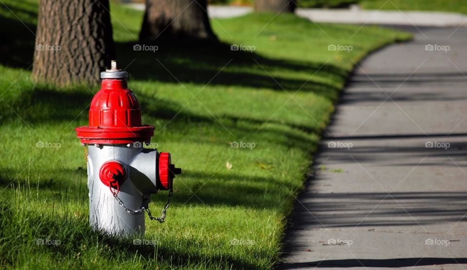 Fire hydrant on the road