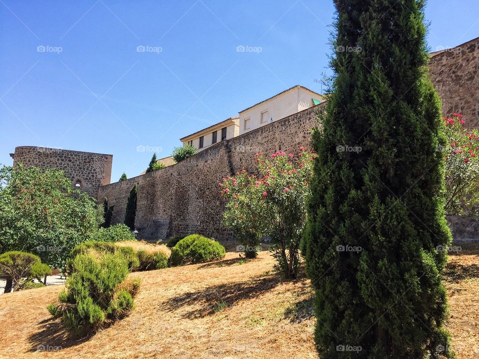 View of ancient wall