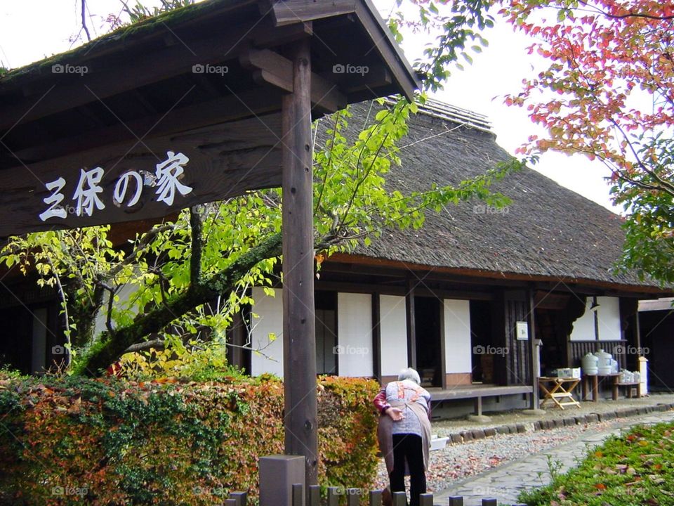 Traditional Japanese house