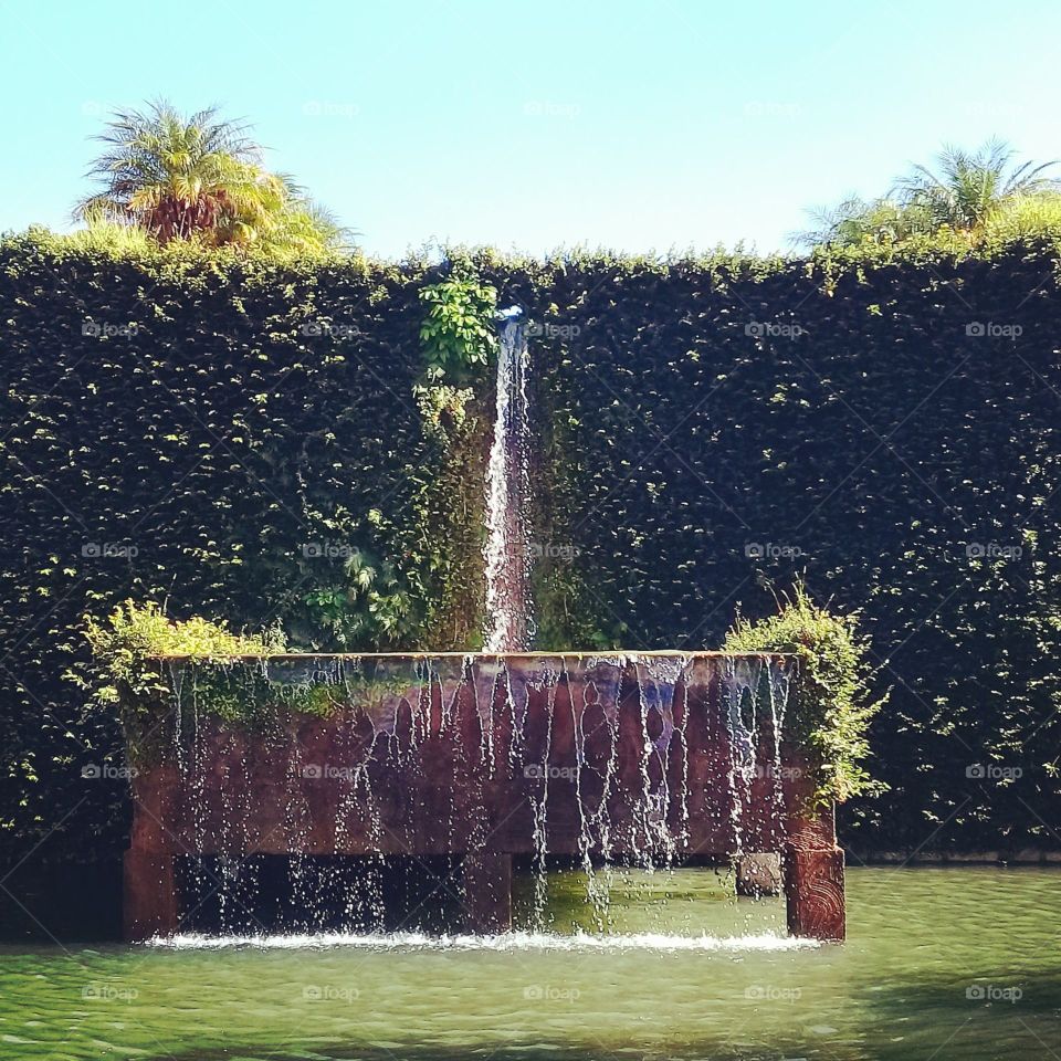 Um passeio muito bacana: o Parque Botânico de Jundiaí e sua beleza incrível * (Botanic Park ir Jundiaí City, Brazil)