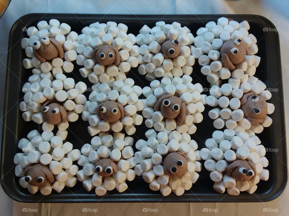 Chocolate Marshmallow Fondant Sheep Cupcakes