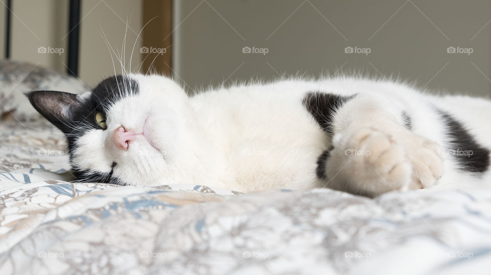 An adult black and white cat sleepily lays on a bed with an eye open.
