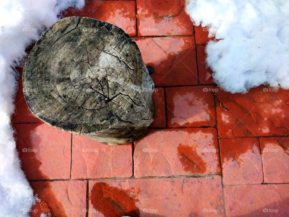 Tree Stump on Red Outdoor Tiles with Snow