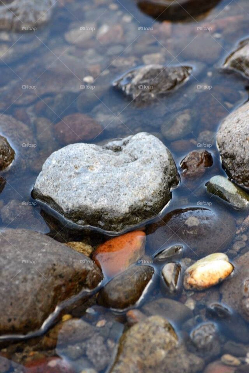 Rocks in the riverbed. 