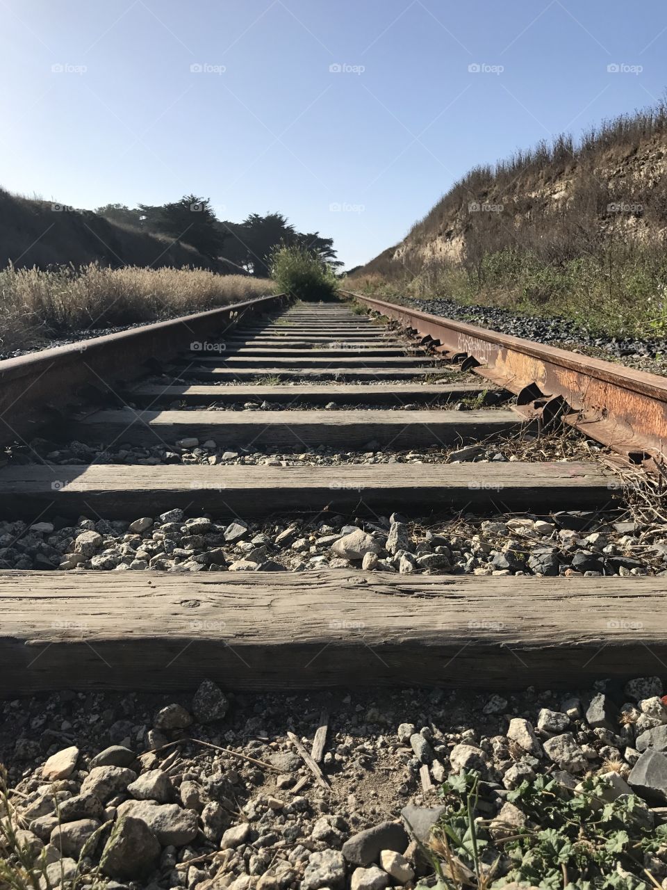 The weathered wooden slats of train tracks that run through the coastal cliffs of California. 