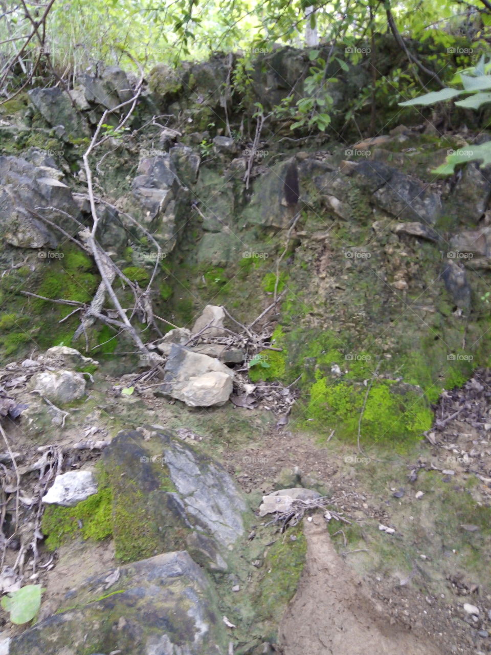 the nature of the field