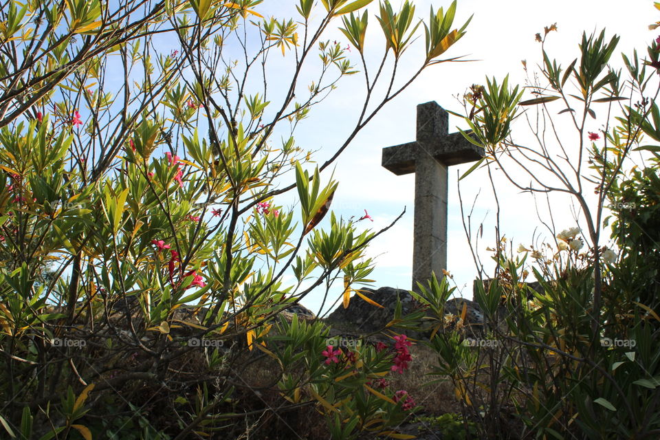 Cross in the middle of nature 