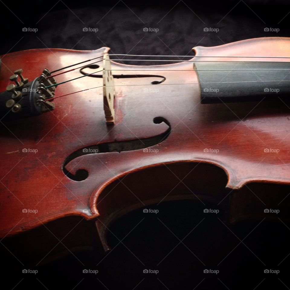 Fiddle. Close up of a fiddle 