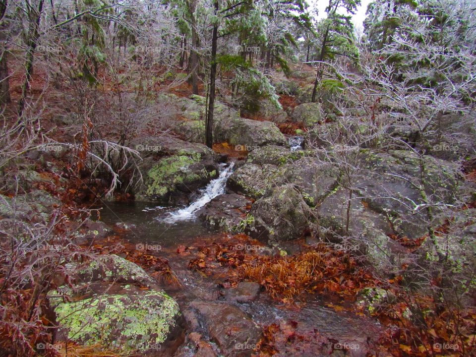 Creek in the woods looking good