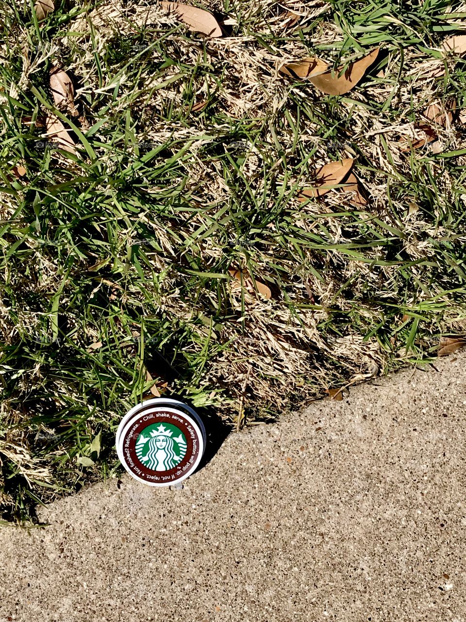 Starbucks Cap In The Grass