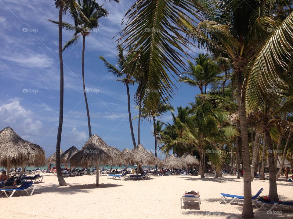 Punta Cana. Summer
