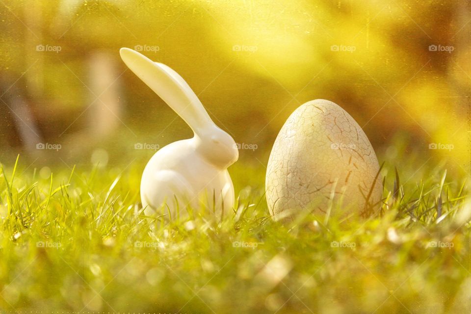 Easter decoration in garden. Easter decoration with bunny and eggs on grass in garden.
