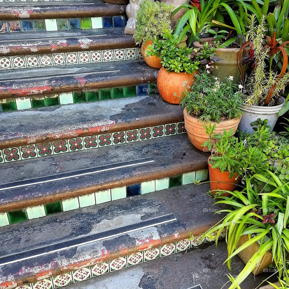 Beautiful stairs with plants.