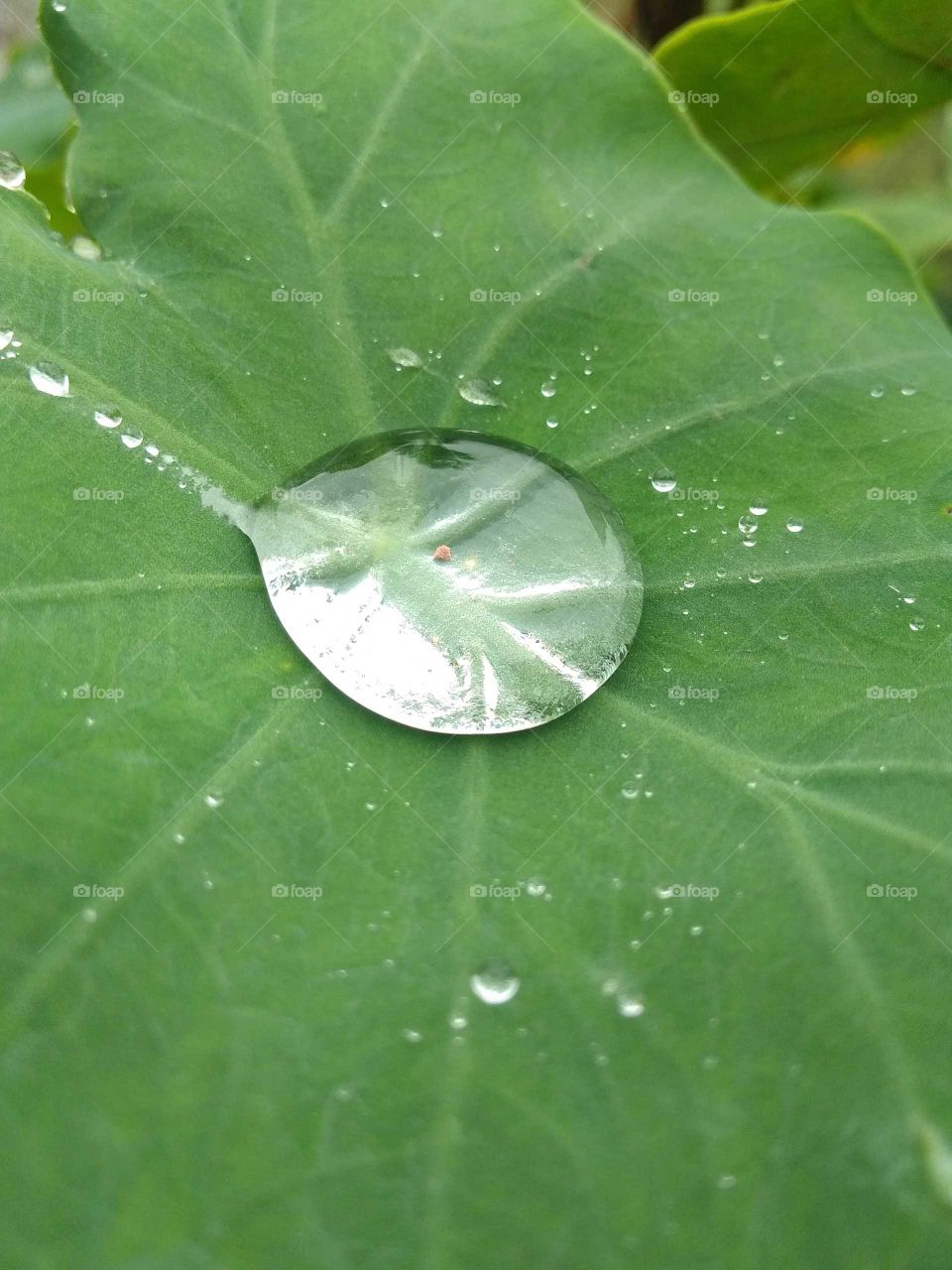 rainy day of water drops