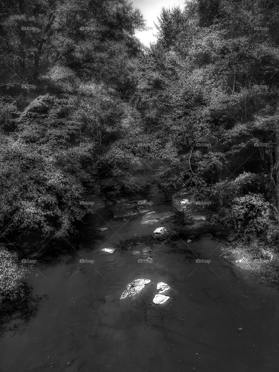 In your eyes I drift...