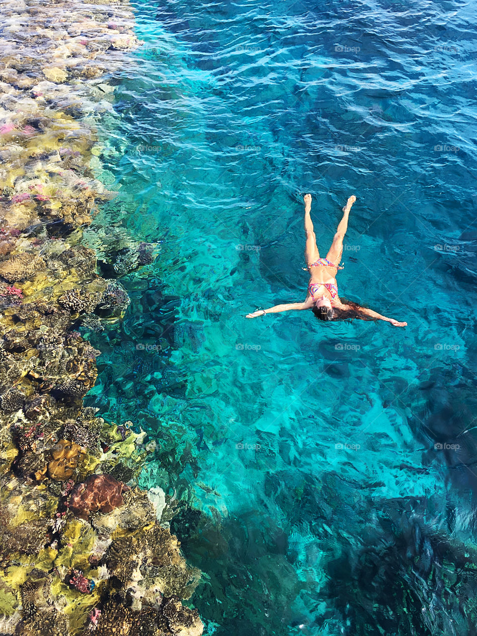 Overheard view of a young woman swimming in clear turquoise sea water of coral sea 