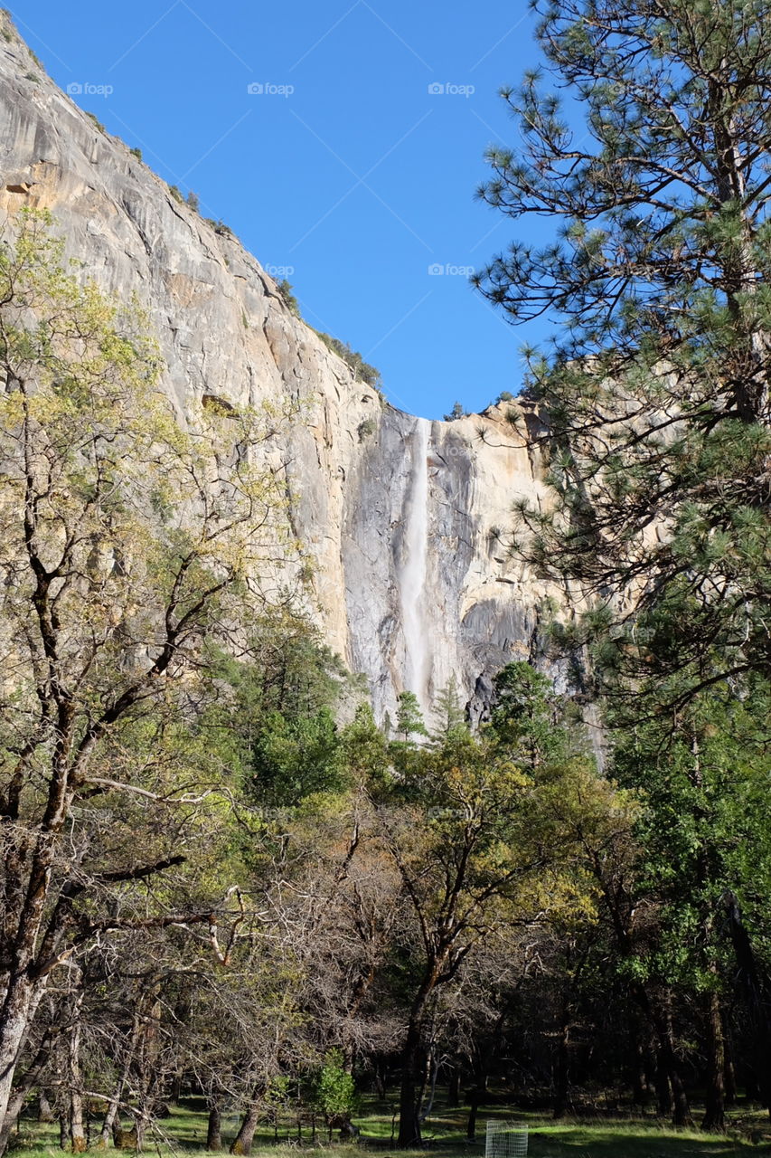 Yosemite Fall