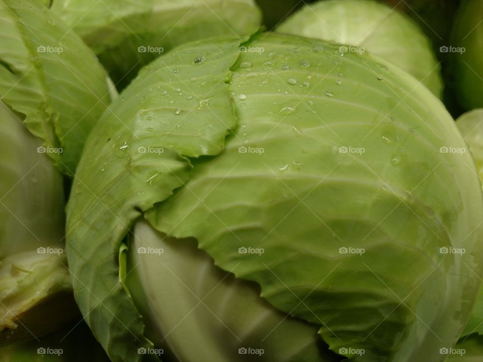 Fresh cabbage.