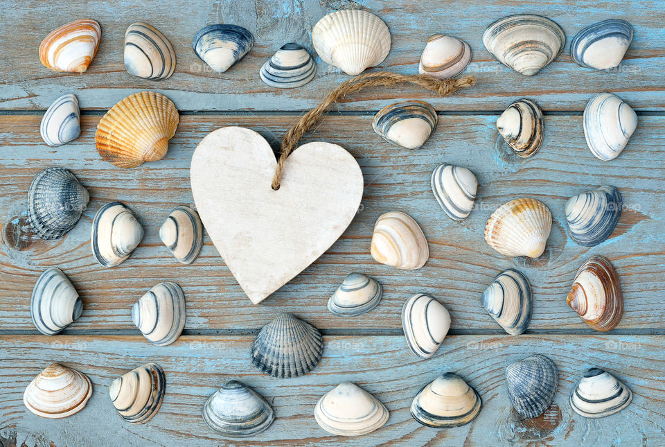 sea beach shells on  old wooden background