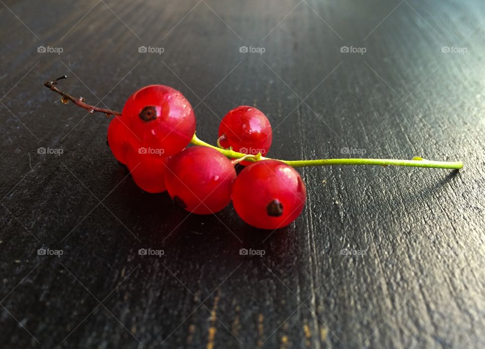 Red berries. Ingredients