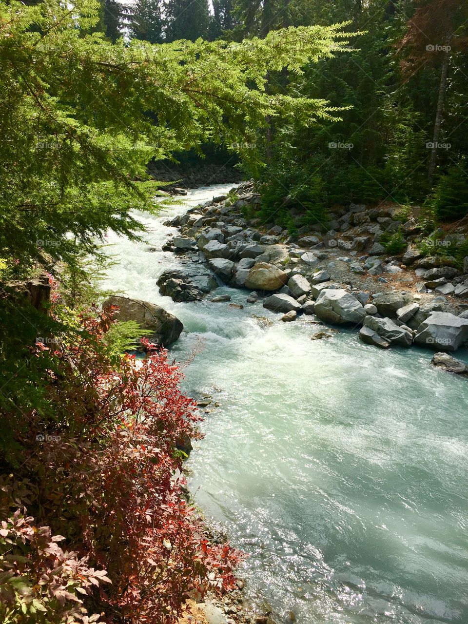 Glacier River, Whistler, British Columbia 